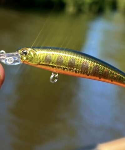 2d35934c-413d-47bf-a286-54a3a3de6b04