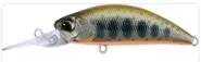 DUO SpearHead Ryuki 50MDSP MCC4018 Brown Back Yamame OB