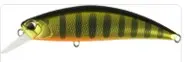 Spearhead Ryuki 70 ASA3146 Gold Perch