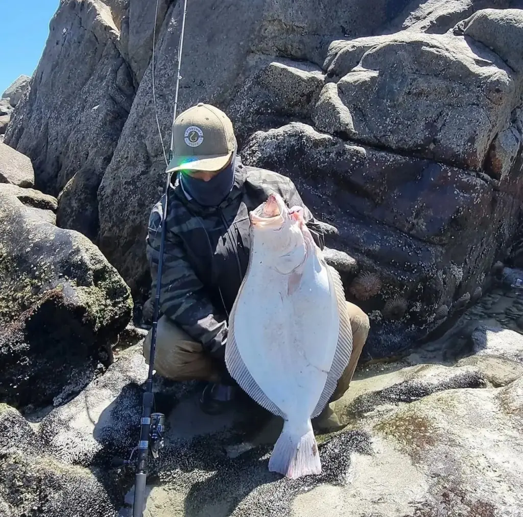 Pescador sentado entre rocas de la costa sostiene un lenguado recien capturado.