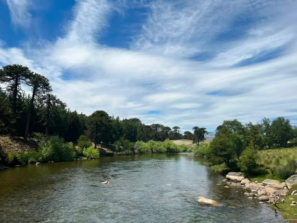 Curva de un rio de La Araucania, con araucarias en la ribera y cielo despejado con nubes altas.